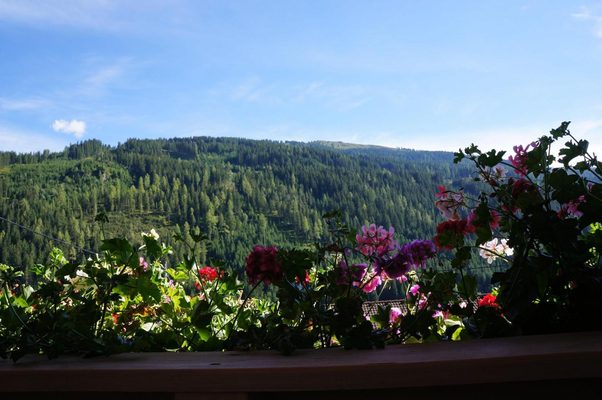 Haus Dorfblick Hotel Герлос Екстериор снимка